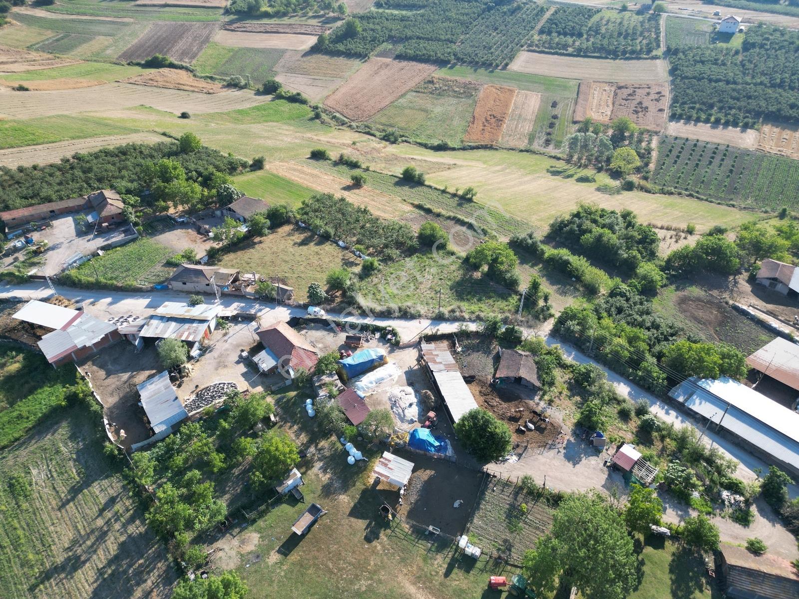 Sakarya Kaynarca Ömerağa'da Köy İçi İmar, Ev Yapımına Uygun Arsa - Görsel 8