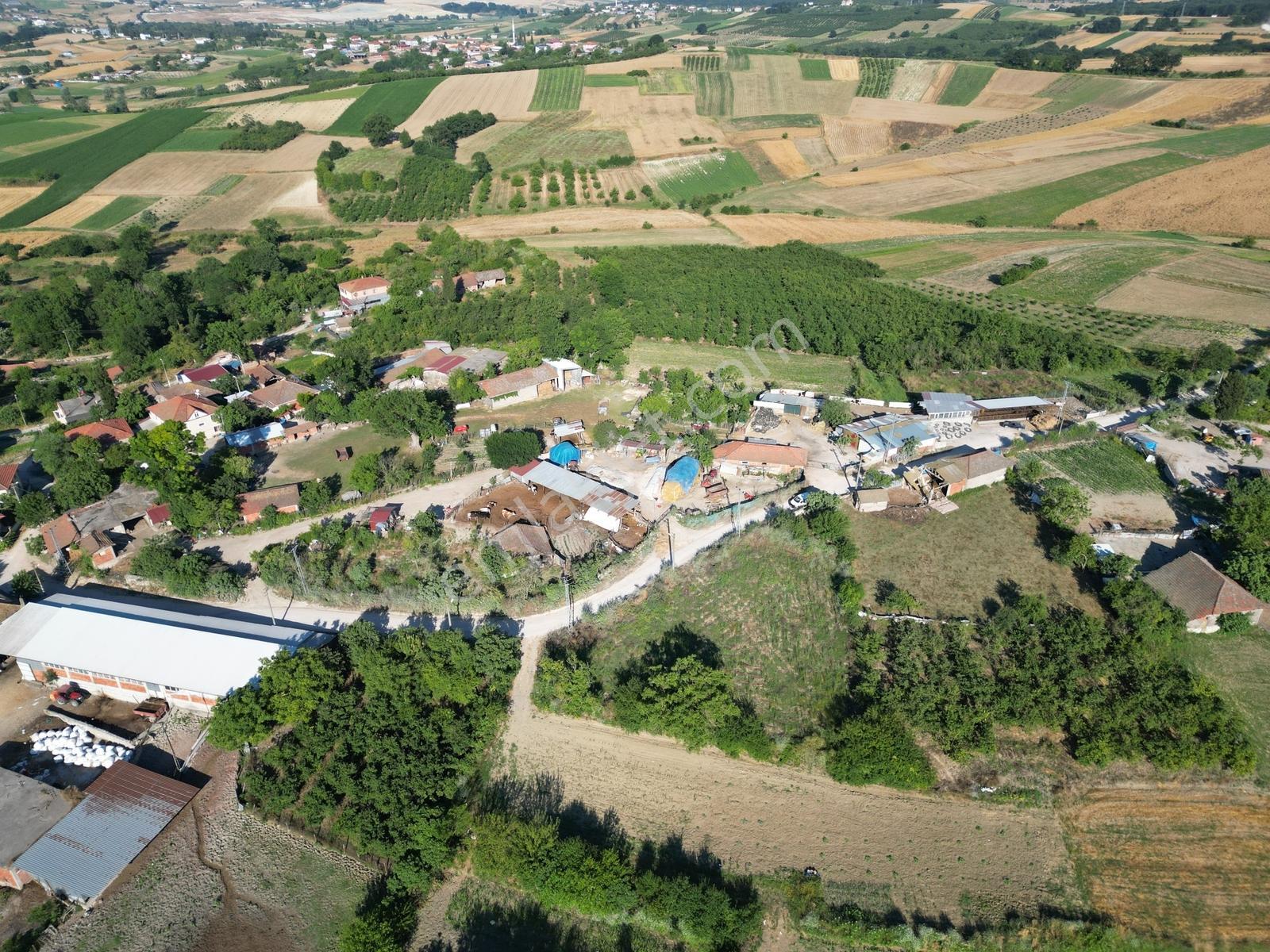 Sakarya Kaynarca Ömerağa'da Köy İçi İmar, Ev Yapımına Uygun Arsa - Görsel 12