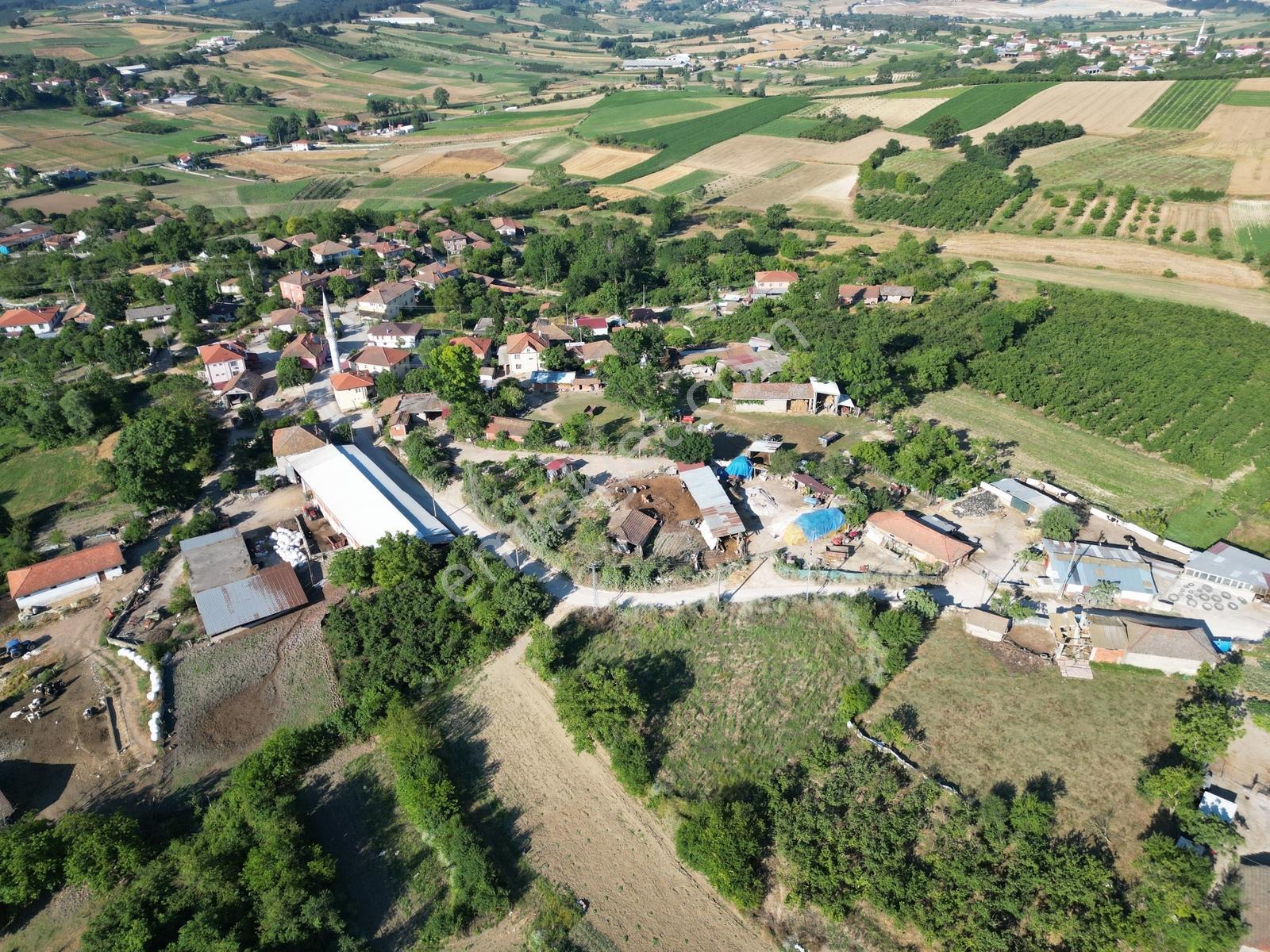Sakarya Kaynarca Ömerağa'da Köy İçi İmar, Ev Yapımına Uygun Arsa - Görsel 11