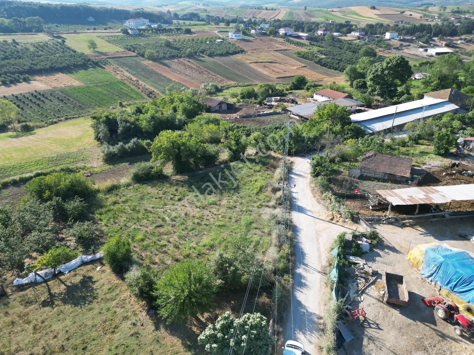Sakarya Kaynarca Ömerağa'da Köy İçi İmar, Ev Yapımına Uygun Arsa - Görsel 24