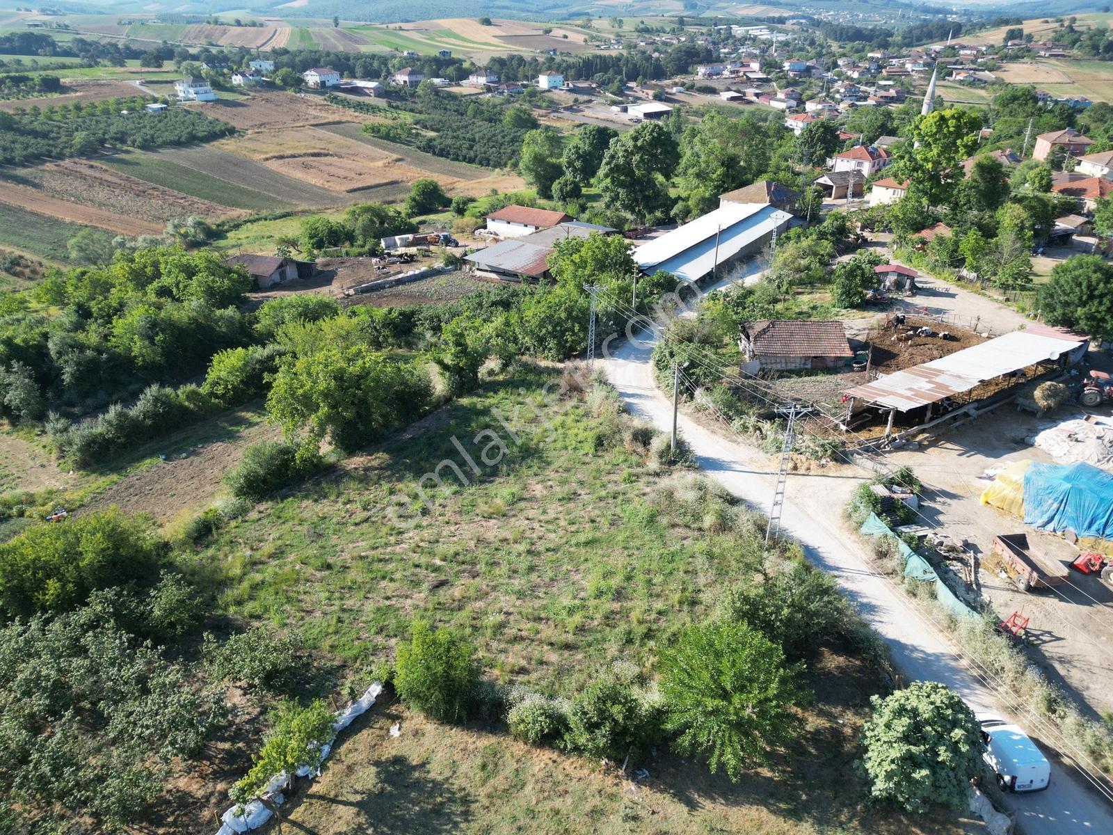 Sakarya Kaynarca Ömerağa'da Köy İçi İmar, Ev Yapımına Uygun Arsa - Görsel 4