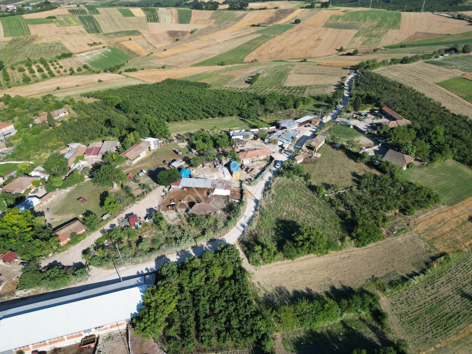 Sakarya Kaynarca Ömerağa'da Köy İçi İmar, Ev Yapımına Uygun Arsa - Görsel 13