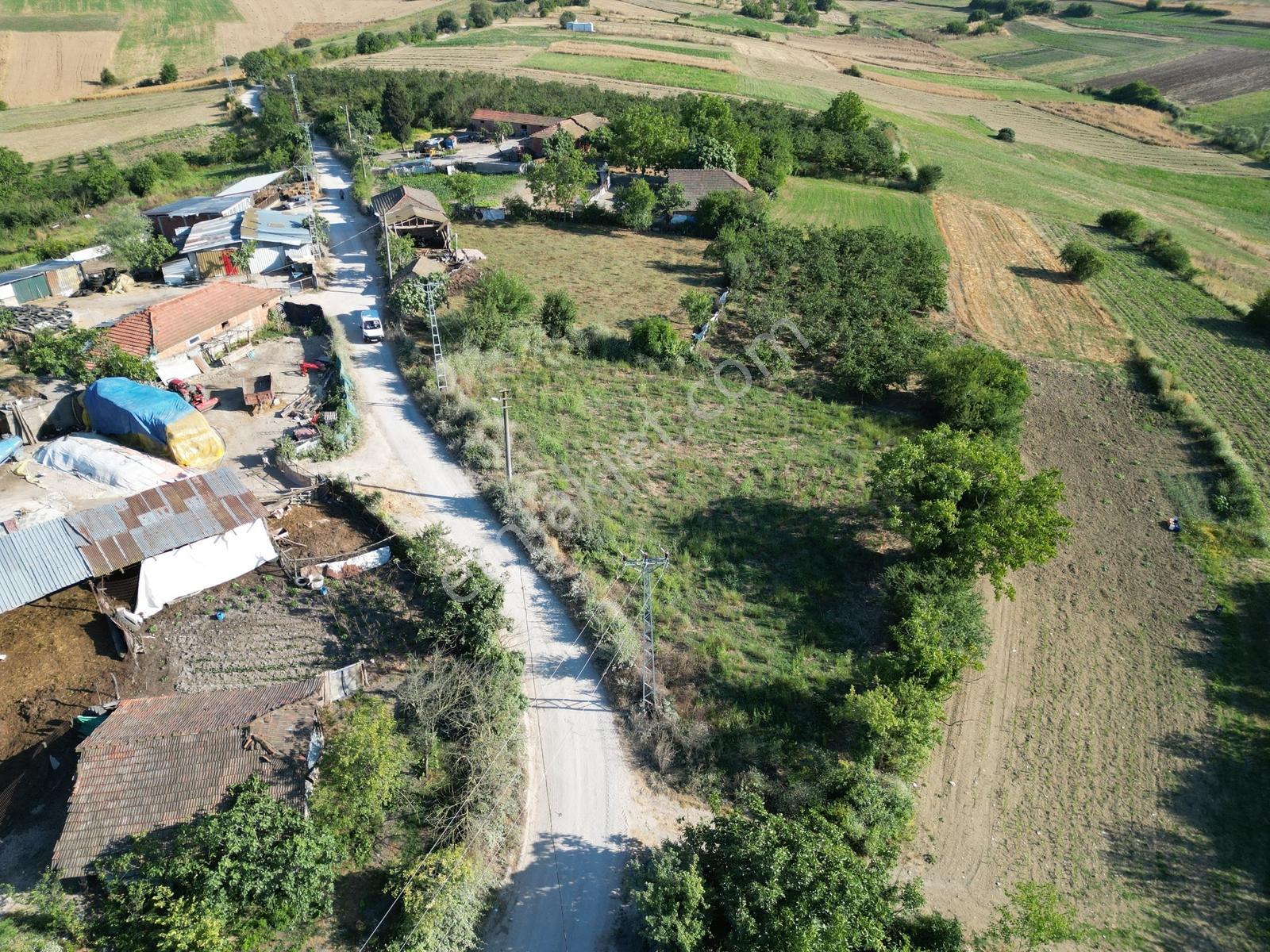 Sakarya Kaynarca Ömerağa'da Köy İçi İmar, Ev Yapımına Uygun Arsa - Görsel 16