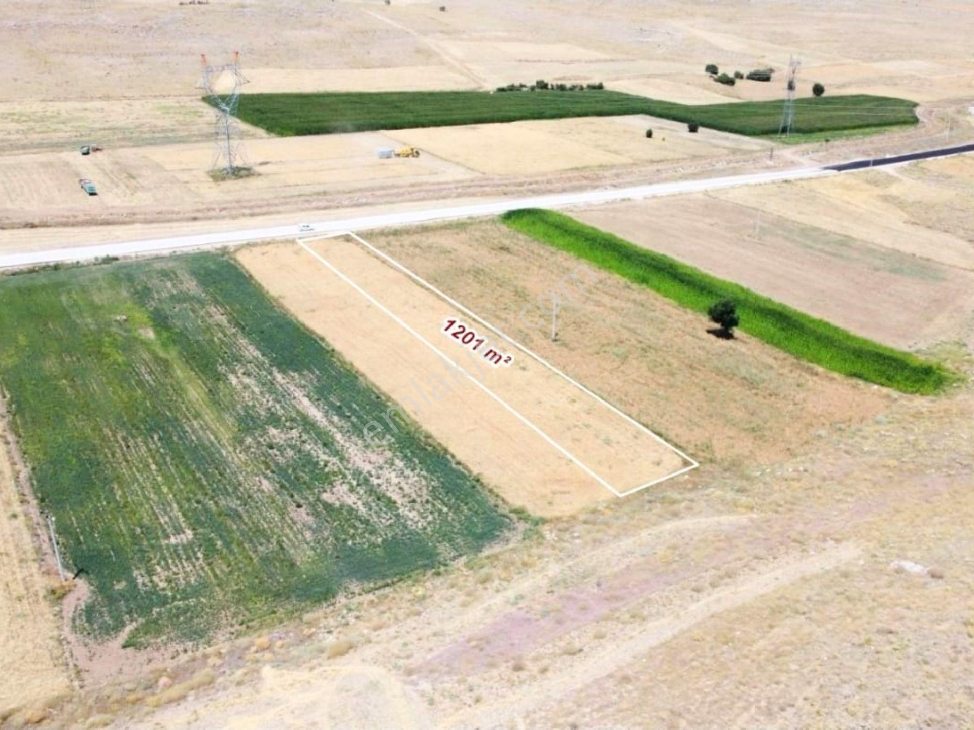 Akören Orhaniye'de 1.201 M² Müstakil Asvalt Yola Sıfır Tarla - Görsel 2