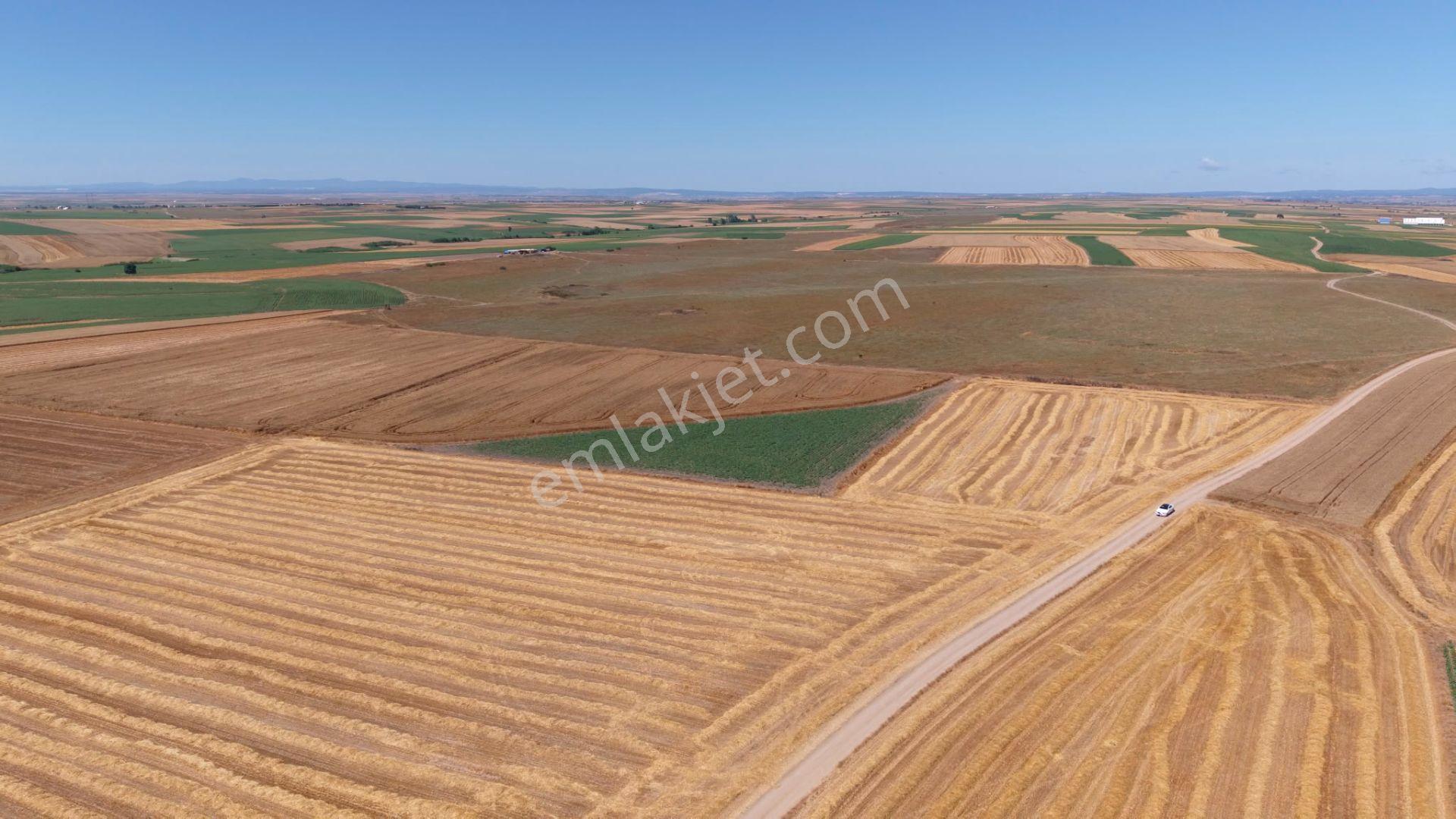 Tekirdağ Ergene Bakırca Mahallesi’nde Satılık 4.100 M² Müstakil Tarla - Görsel 17