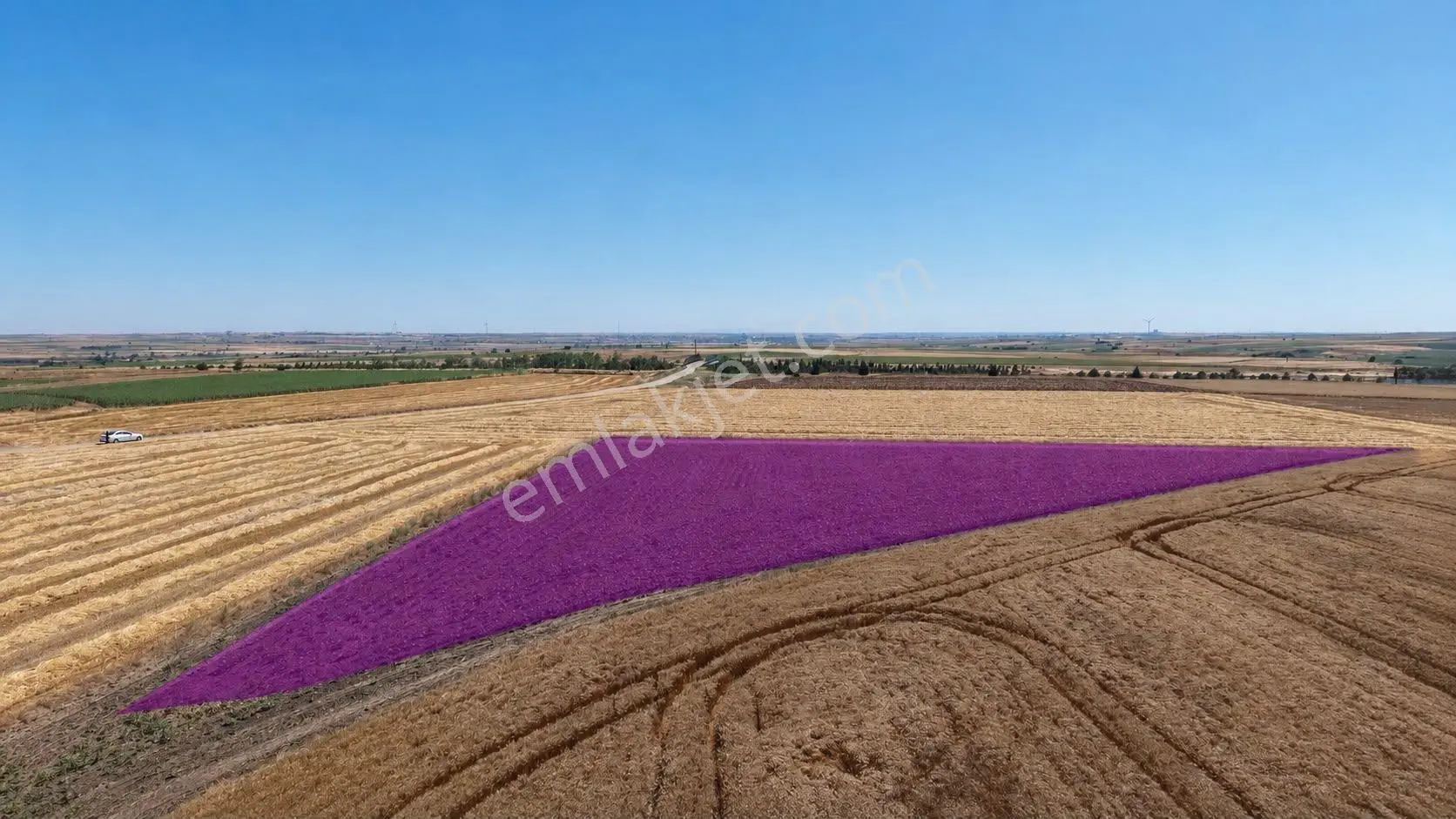 Tekirdağ Ergene Bakırca Mahallesi’nde Satılık 4.100 M² Müstakil Tarla - Görsel 3