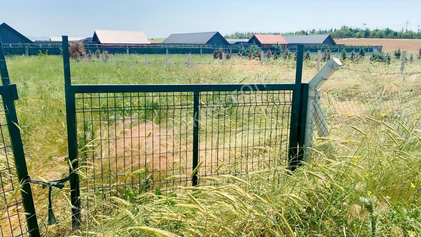 Ballıkpınarda Satılık Müstakil Villa Arsası - Görsel 4