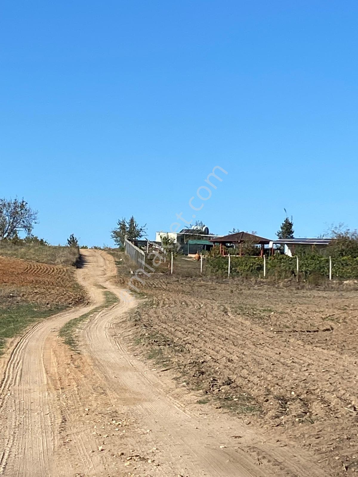 Edirne Merkez Büyükdöllükte Yatırımlık Bağ - Görsel 5