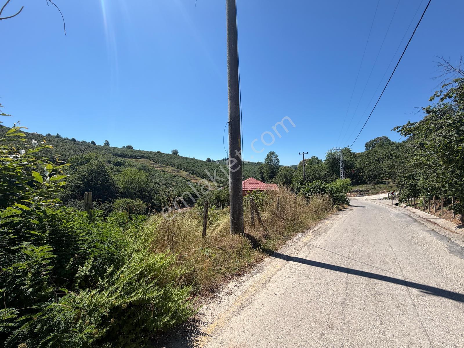 Kocaali Selahiye Mahallesi 683 M2 İmarlı Müstakil Tek Tapu Arsa - Görsel 4