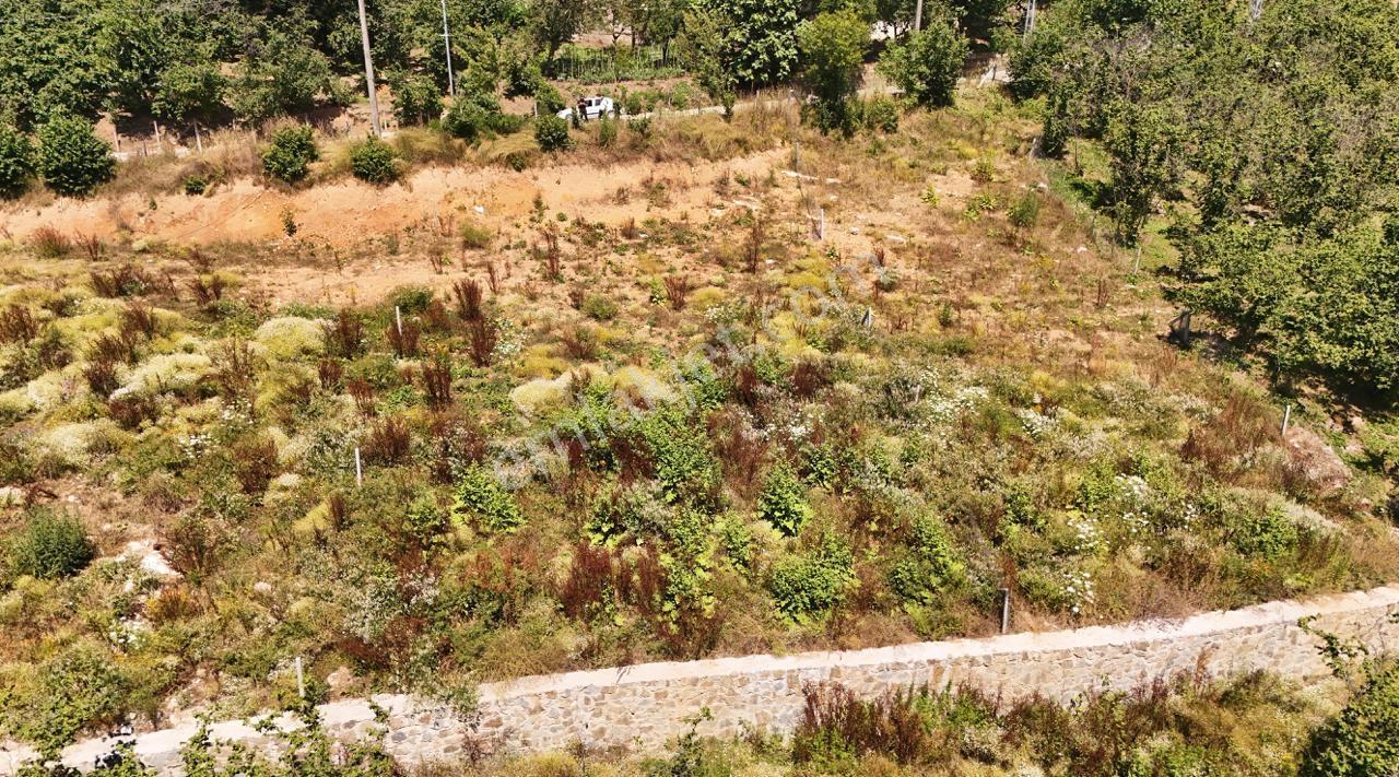 Kocaali Selahiye Mahallesi 683 M2 İmarlı Müstakil Tek Tapu Arsa - Görsel 15