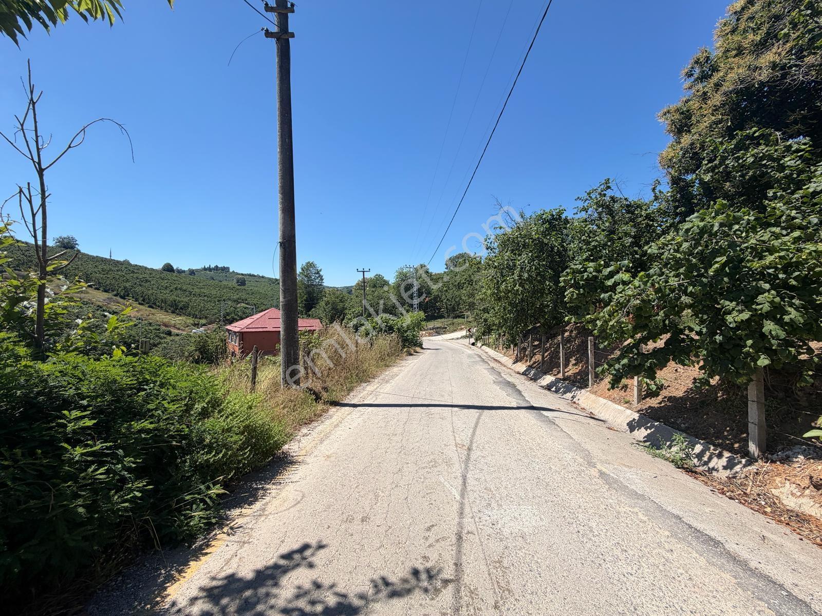 Kocaali Selahiye Mahallesi 683 M2 İmarlı Müstakil Tek Tapu Arsa - Görsel 16