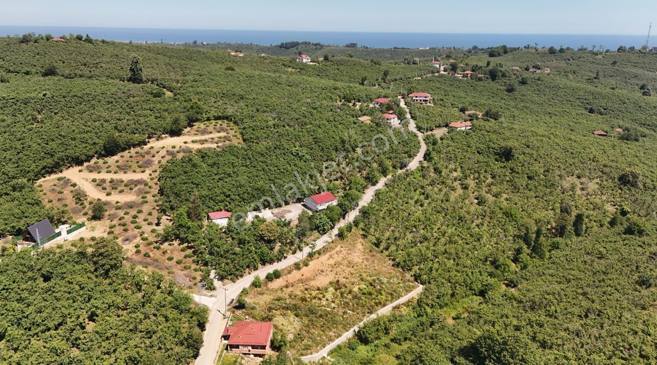 Kocaali Selahiye Mahallesi 683 M2 İmarlı Müstakil Tek Tapu Arsa - Görsel 7