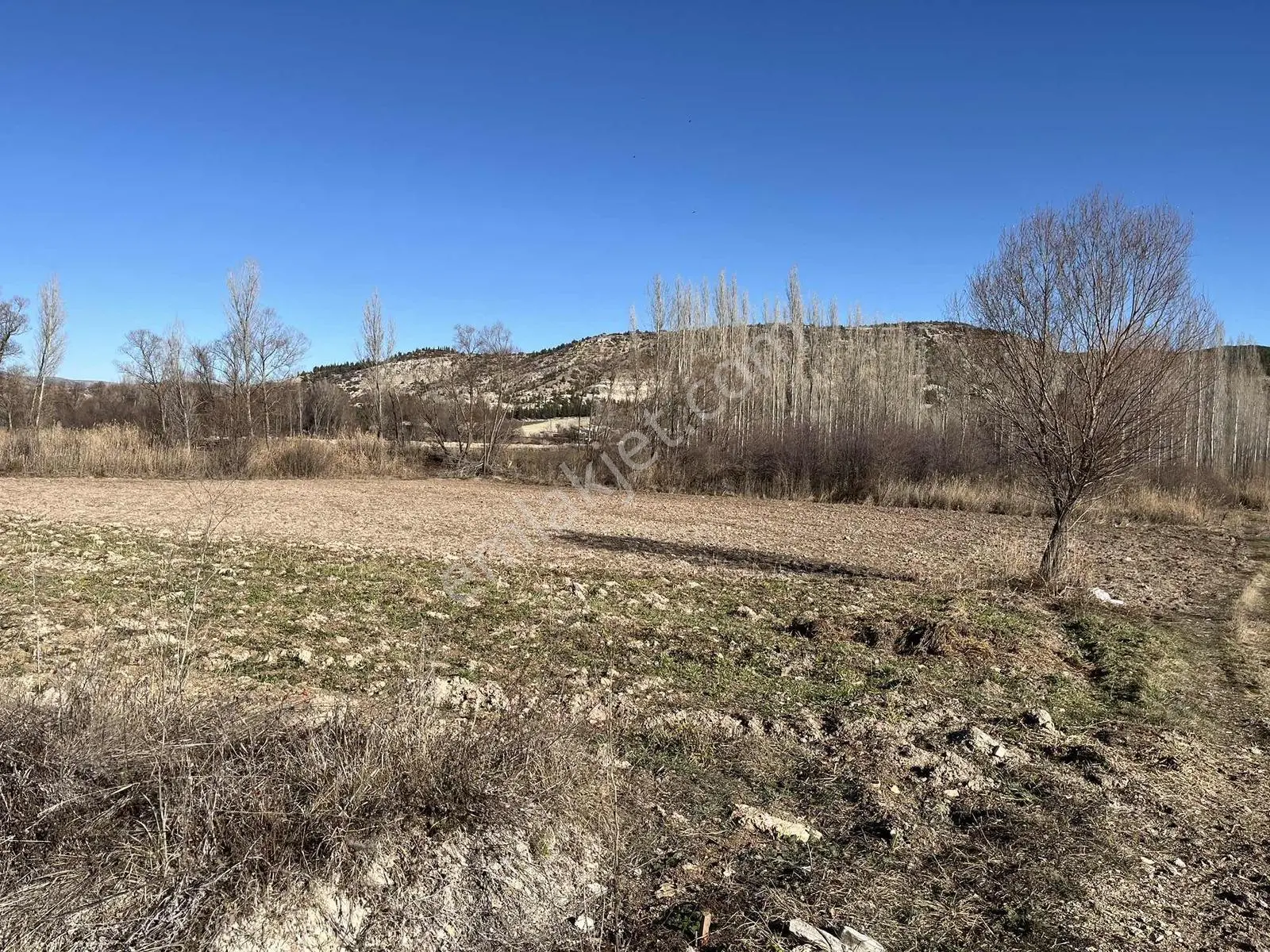 Başakavak'ta Bu Özellikte Daha Ucuzu Yok 1766m2 Satılık Bahçe - Görsel 2