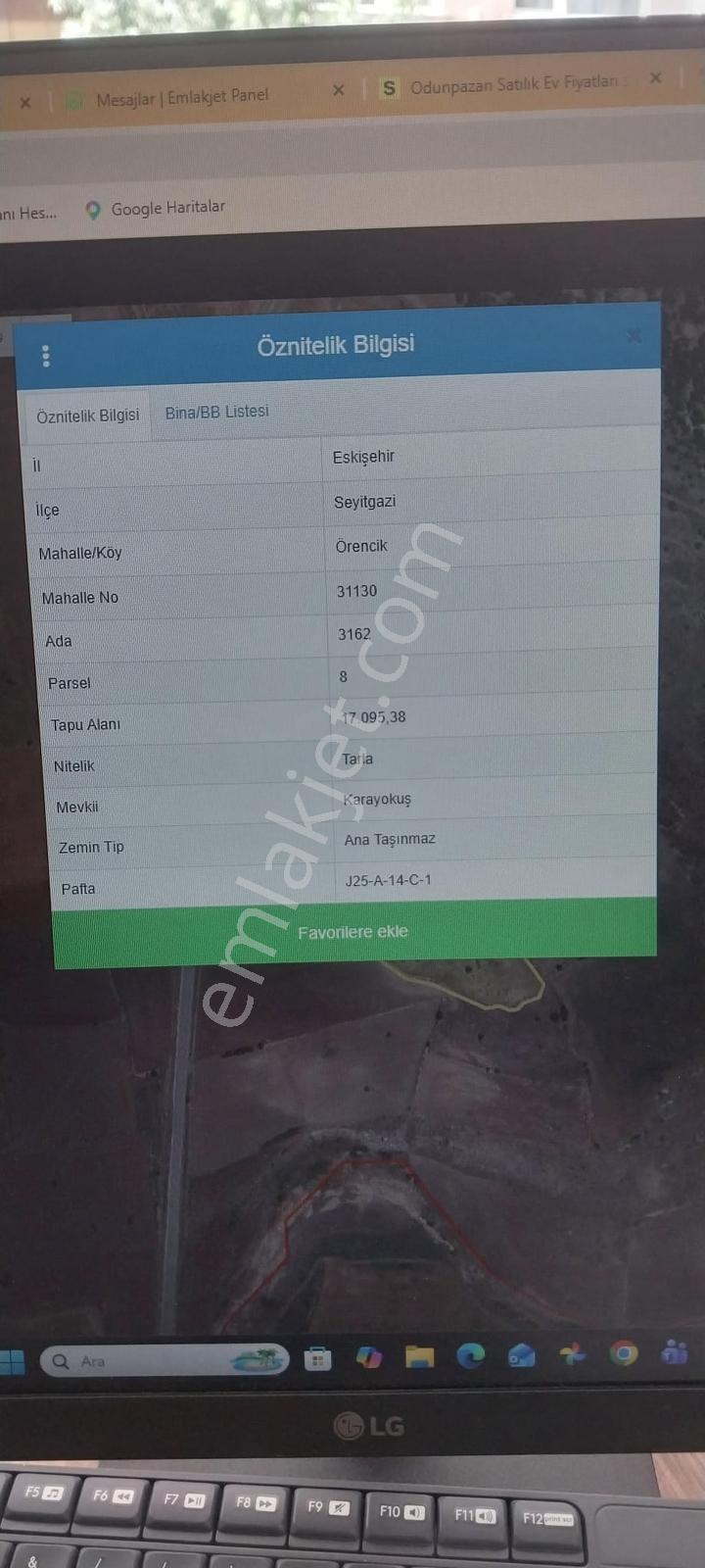 Seyitgazi Örencik 17 Dönüm Satılık Tarla - Görsel 3
