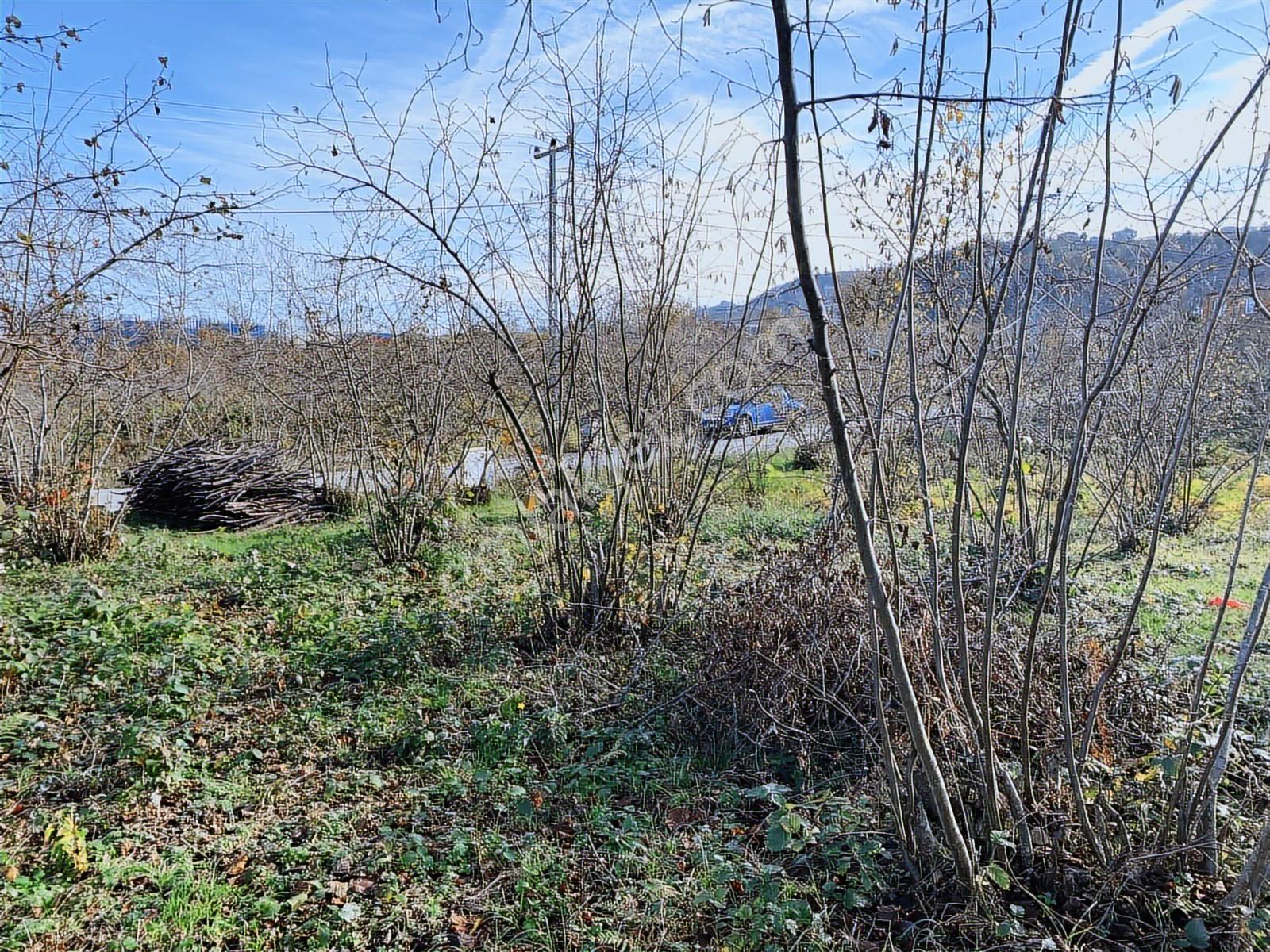 Doğuş Gayrimenkul Arsin Şankaya Satılık Konut İmarlı Arsa - Görsel 18