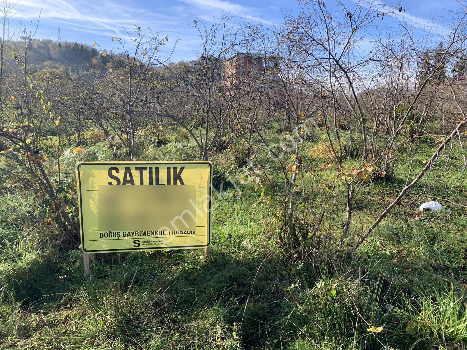 Doğuş Gayrimenkul Arsin Şankaya Satılık Konut İmarlı Arsa
