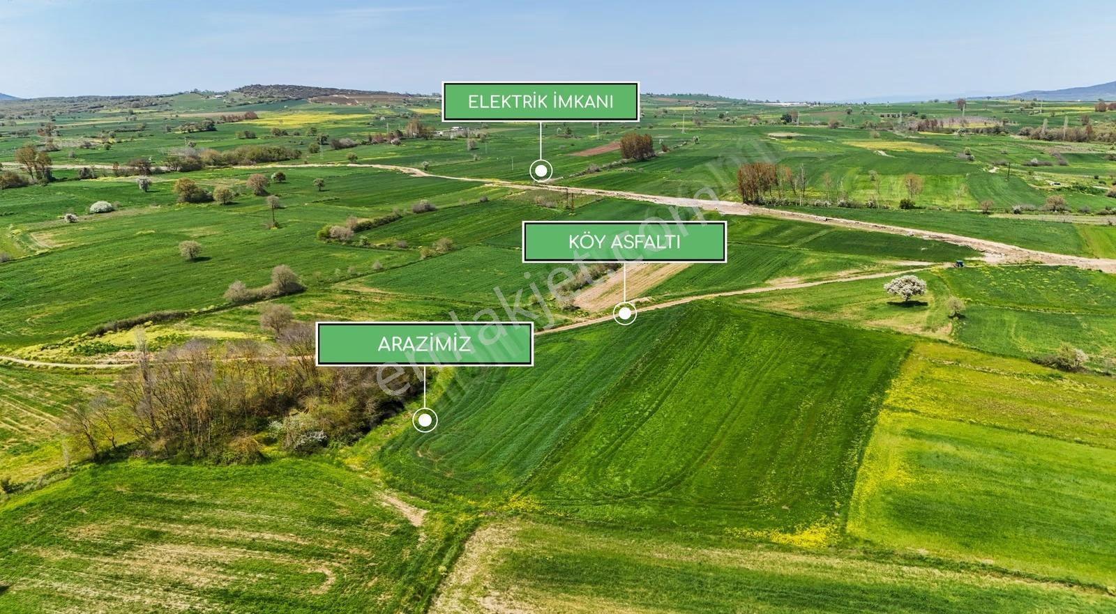 Çanakkale Biga Selvide Asfalt Yola Cephe 5.213 M² Yatırımlık - Görsel 21