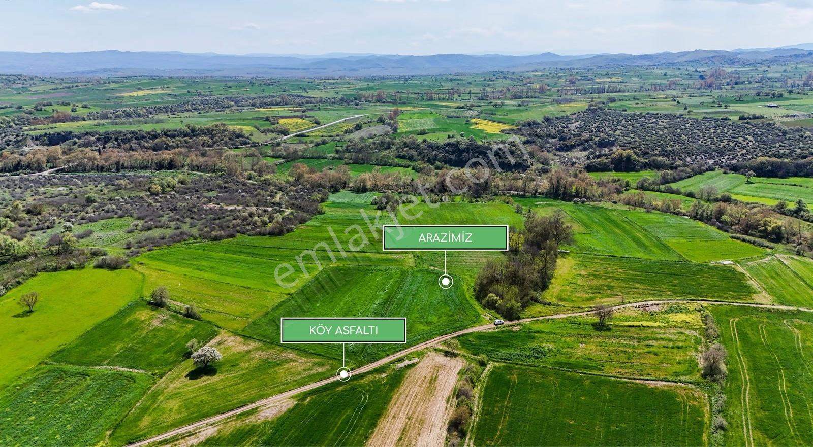 Çanakkale Biga Selvide Asfalt Yola Cephe 5.213 M² Yatırımlık - Görsel 19