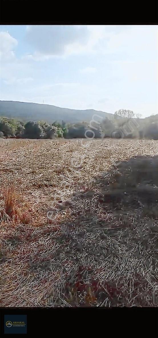 Aksakal'dan Gelibolu Karainebeyli'de Satılık Tarla - Görsel 3
