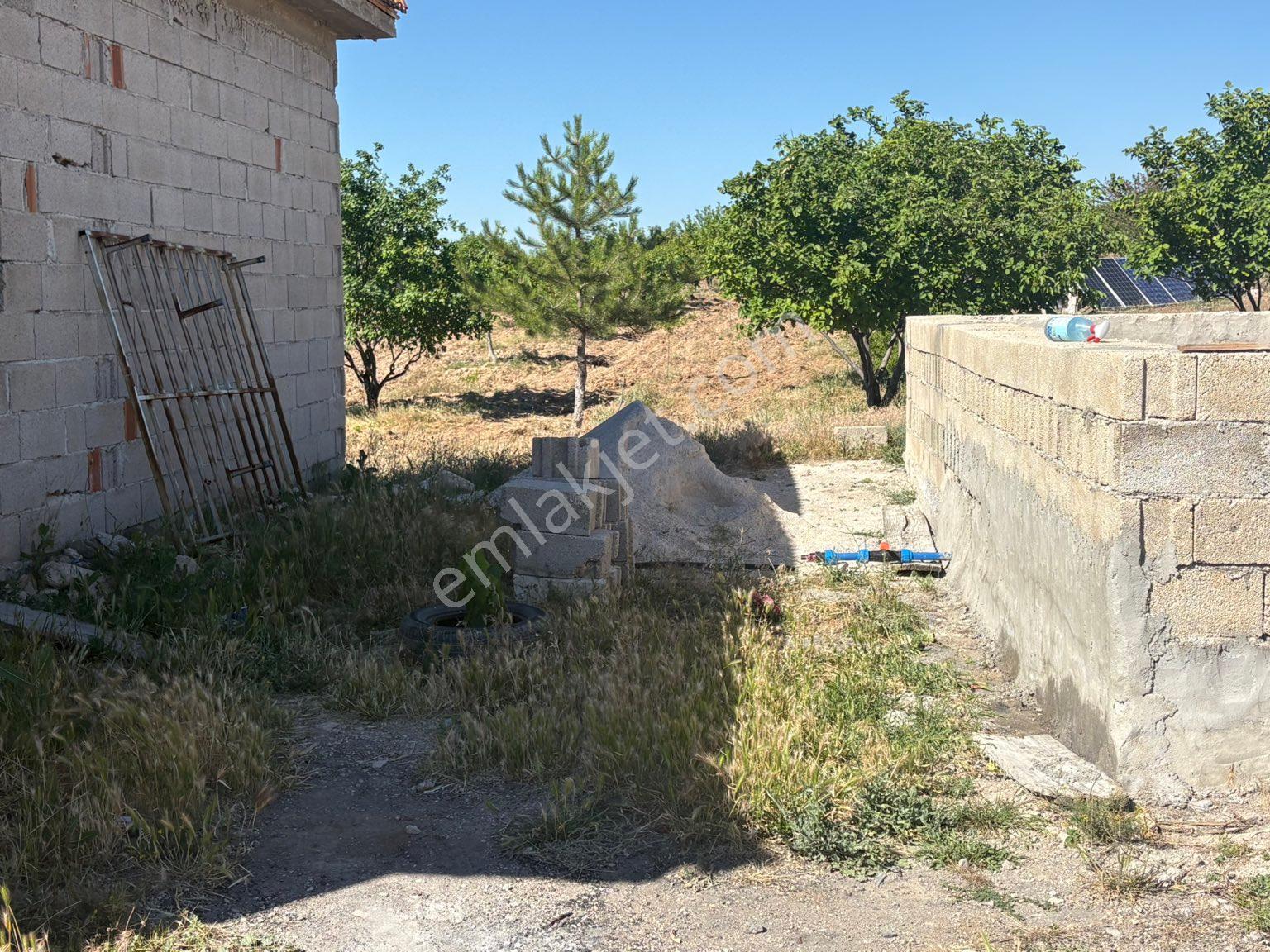 Harika Bir Cevizlik Kırşehir Samsun Yoluna Sıfır Şatonun İlerisinde Yatırımlık Yer - Görsel 9