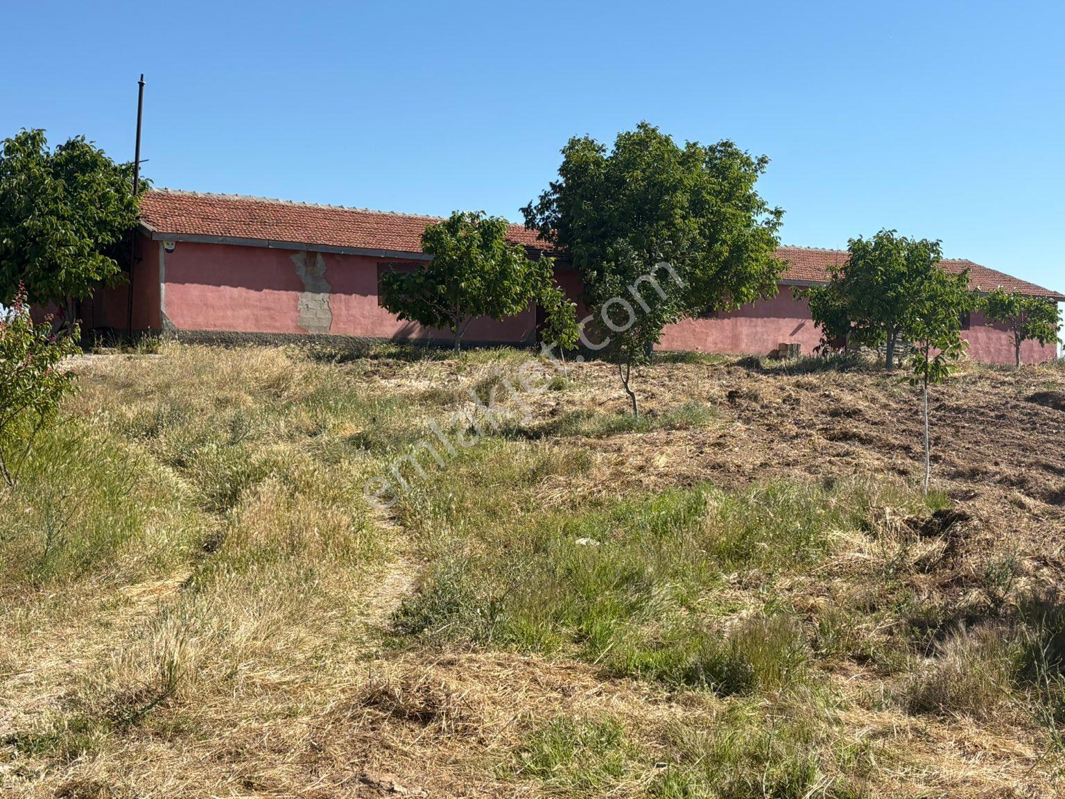 Harika Bir Cevizlik Kırşehir Samsun Yoluna Sıfır Şatonun İlerisinde Yatırımlık Yer - Görsel 20