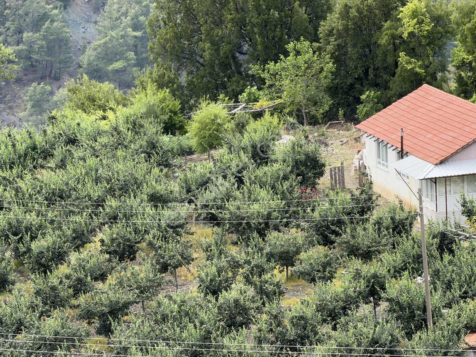 Kumluca Kuzca Köyü Mükemmel Konumda Satılık Tarla - Görsel 18