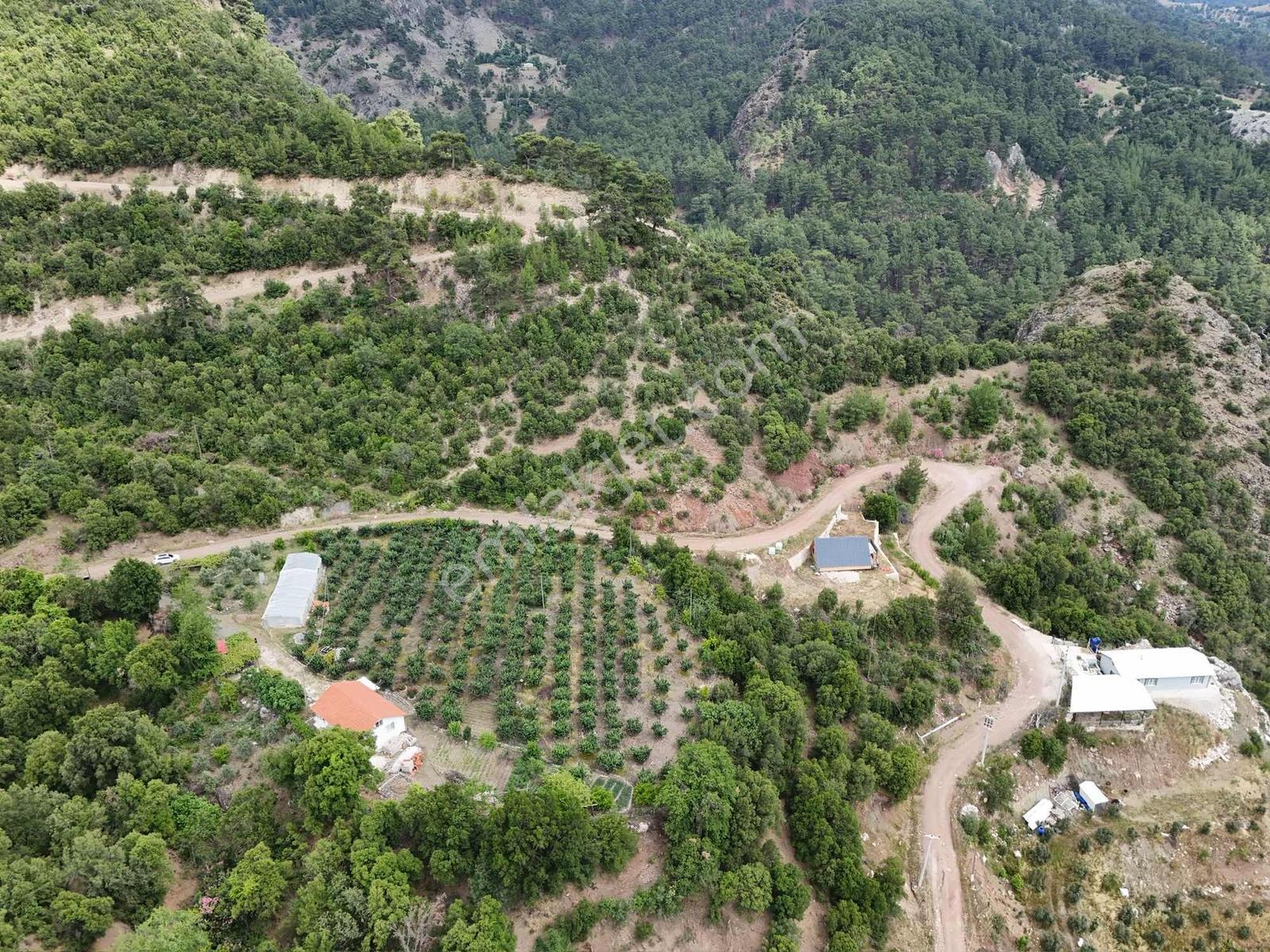 Kumluca Kuzca Köyü Mükemmel Konumda Satılık Tarla - Görsel 9