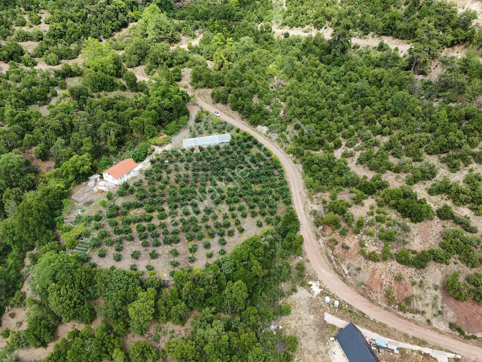 Kumluca Kuzca Köyü Mükemmel Konumda Satılık Tarla - Görsel 29