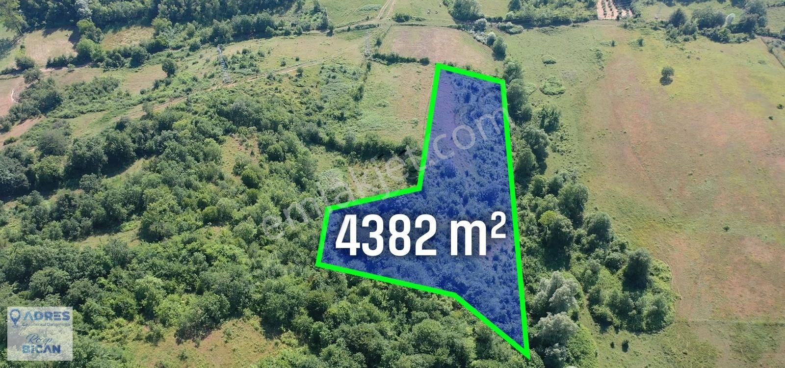 Filyos'ta Satılık Tarla: 4382m², Havalimanı Ve Limana Yakın! - Görsel 3