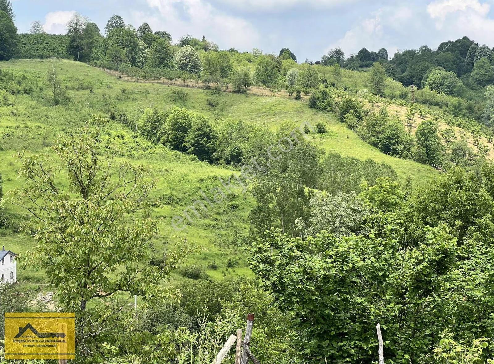 Kaynaşlı Tavak Köyünde Arsası İle Birlikte Satılık Evler - Görsel 25