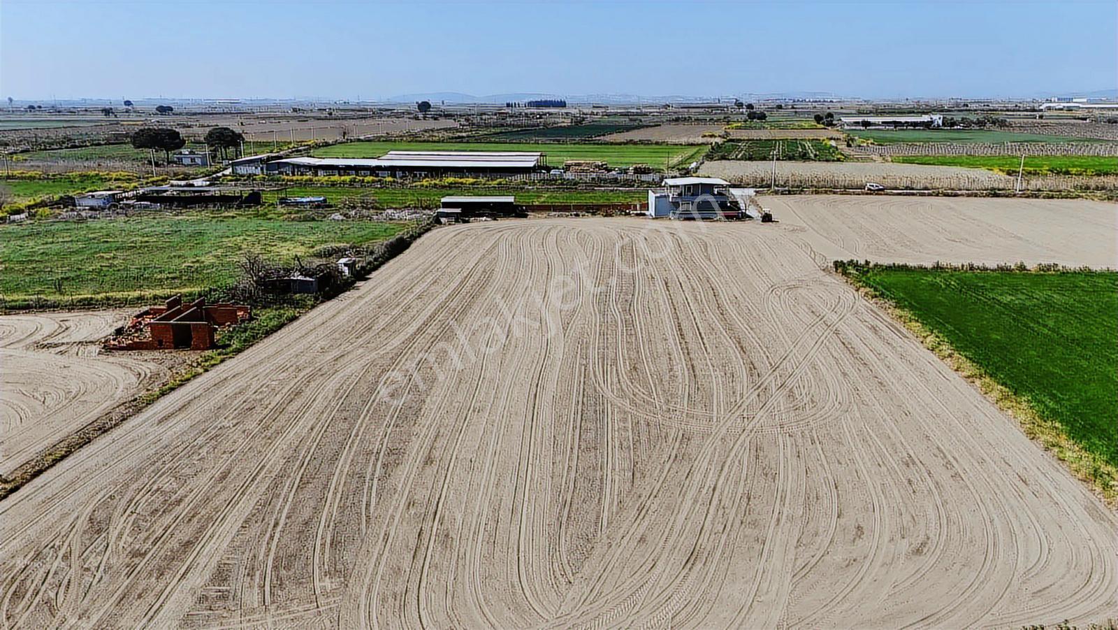 Ahıhıdırda Satılık Verimli Tarla Tek Tapu 3.721 M2 - Görsel 7