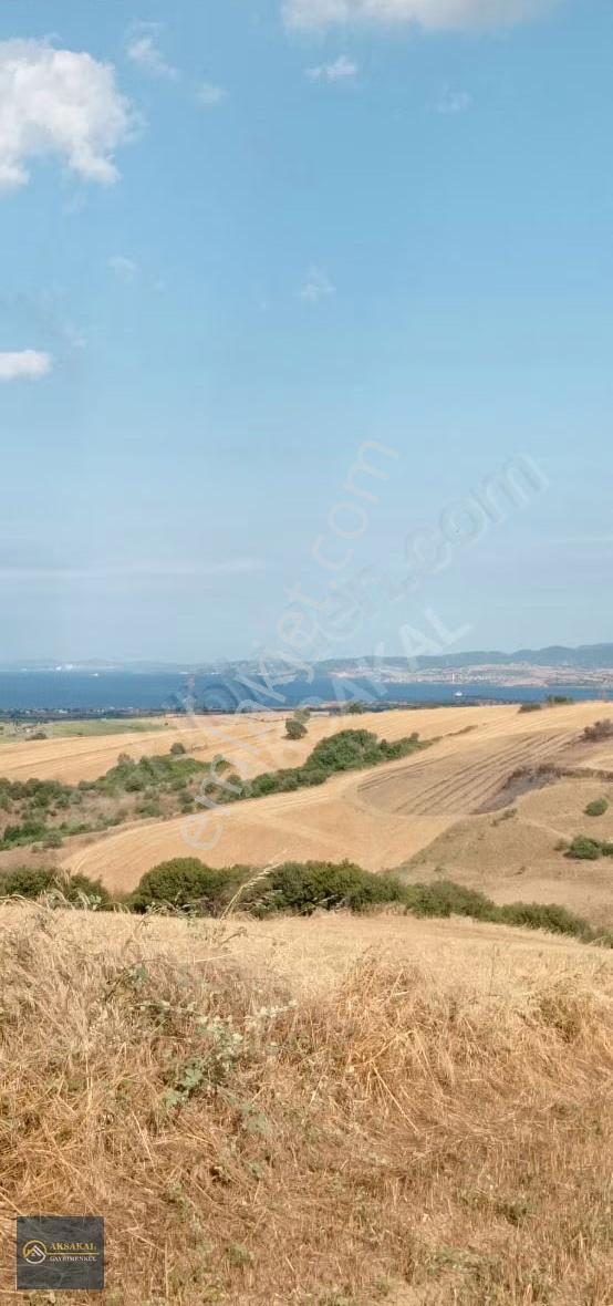 Gelibolu Kavaklitepe Köyünde Full Boğaz Manzaralı Tarla...