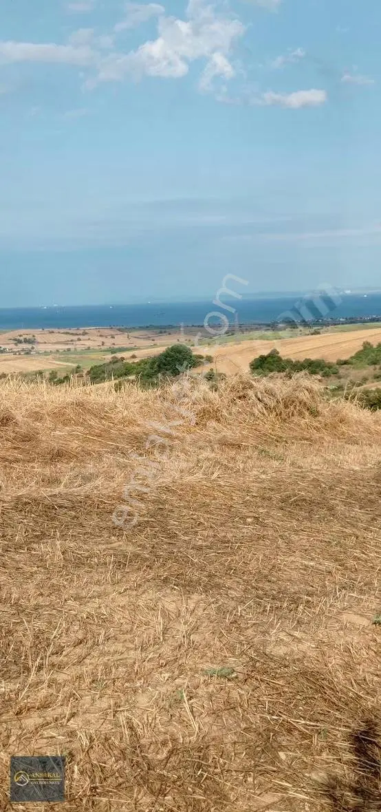 Gelibolu Kavaklitepe Köyünde Full Boğaz Manzaralı Tarla... - Görsel 2