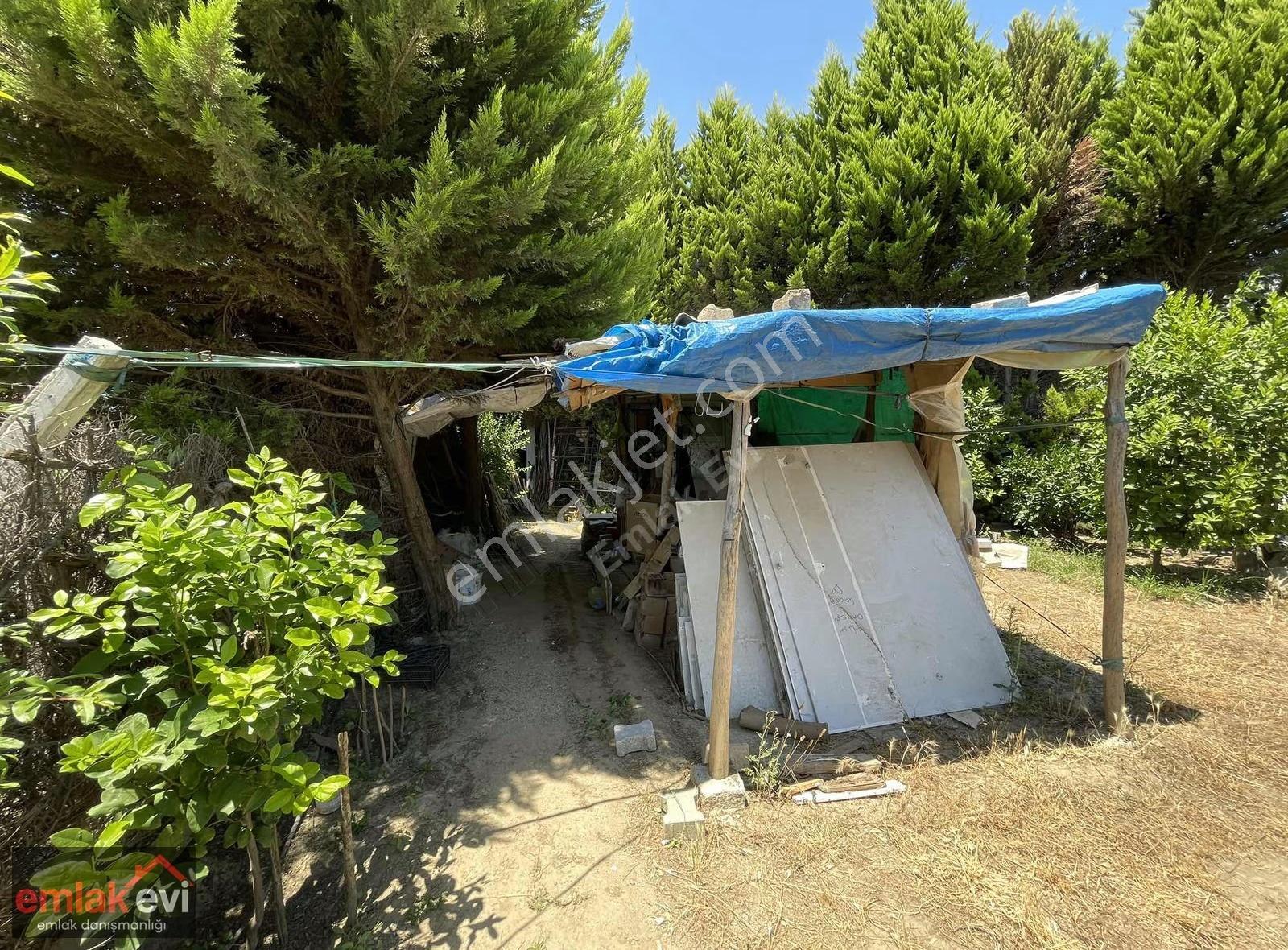 Emlak Evi'nden İncirliova Sandıklı'da Köşebaşı Satılık Arsa - Görsel 14
