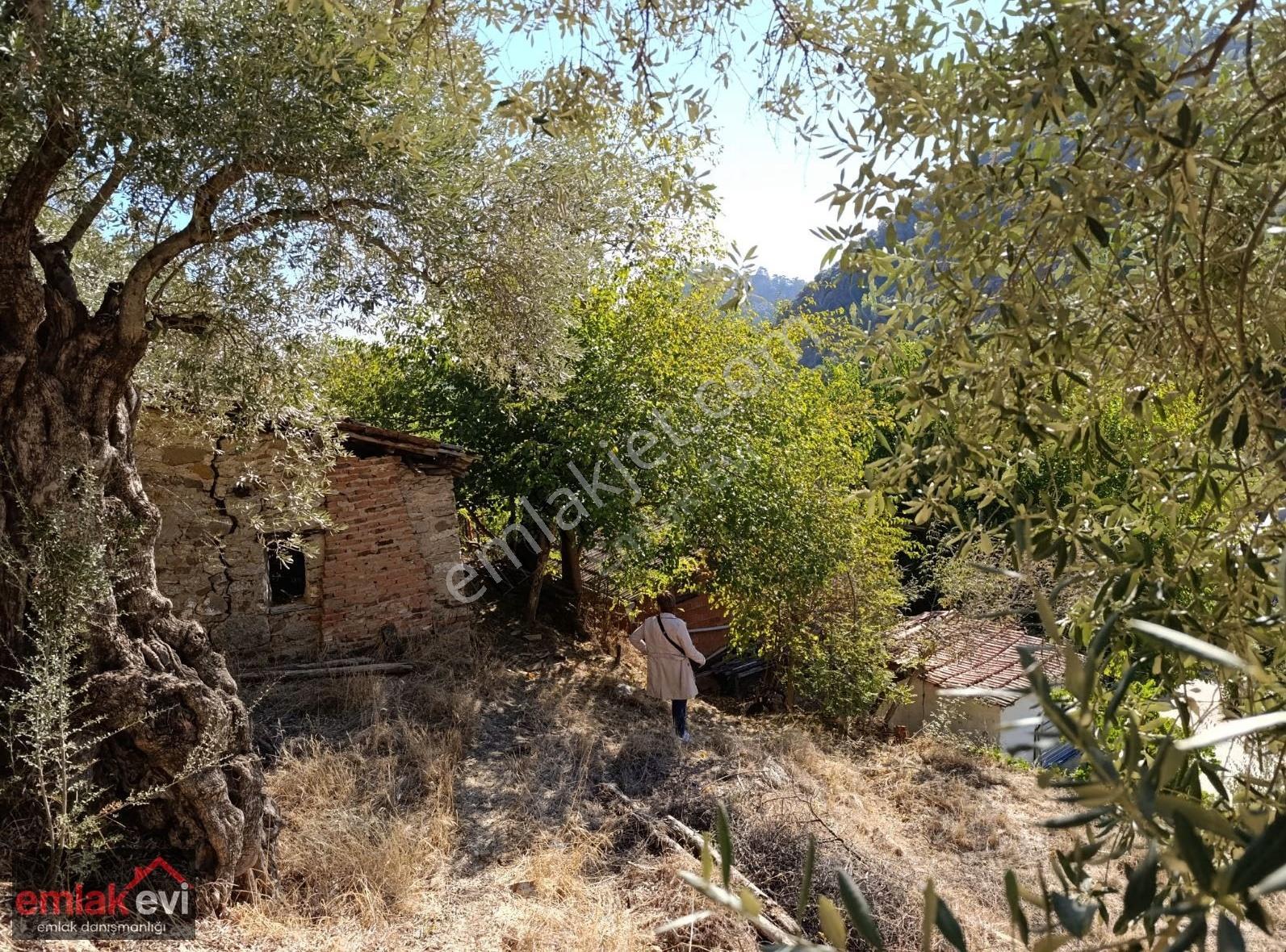 Emlak Evi'nden Çayyüzü Mah. Satılık Köy Evi Ve Arsası - Görsel 22