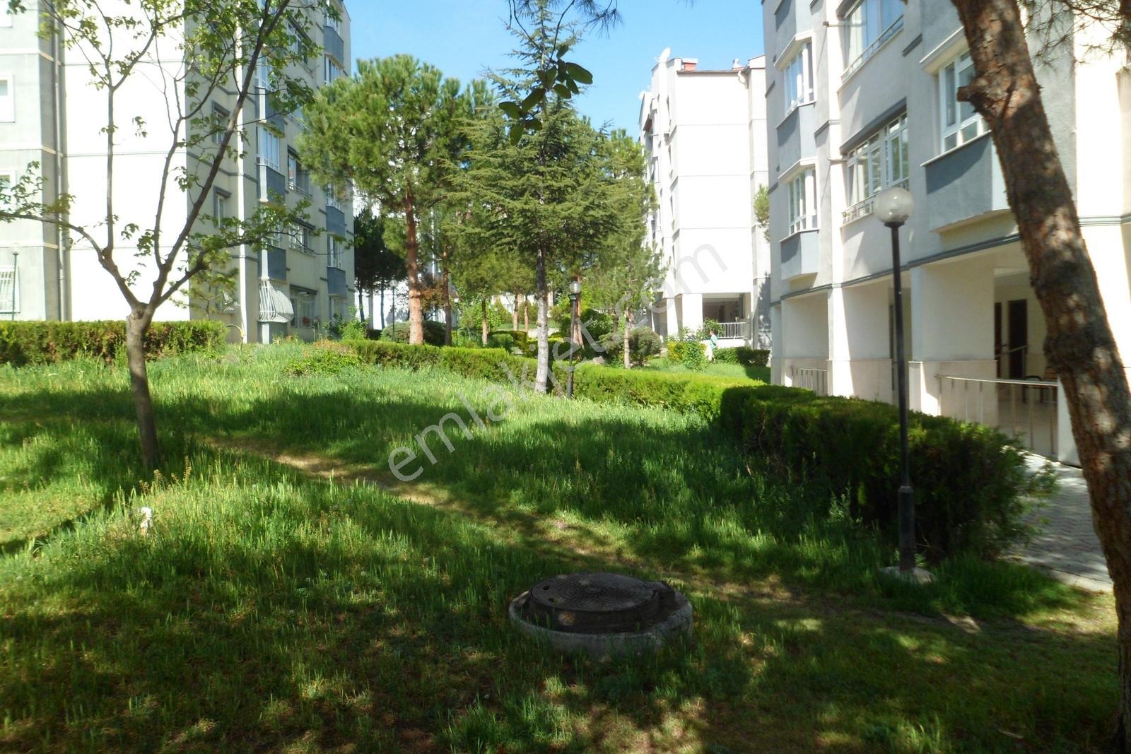 Etimesgutta Kiralık 3+1 Daire Mansuroğlu Emlaktan - Görsel 34