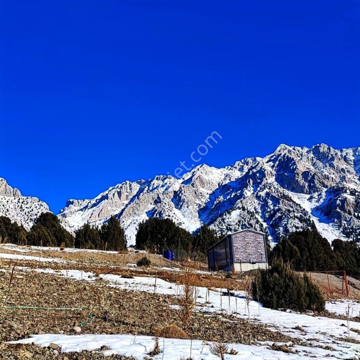 Kar Emlak Tan Aşçıbekirli Fenese De Yaylalık 400 M2 Satılık Arsa - Görsel 11