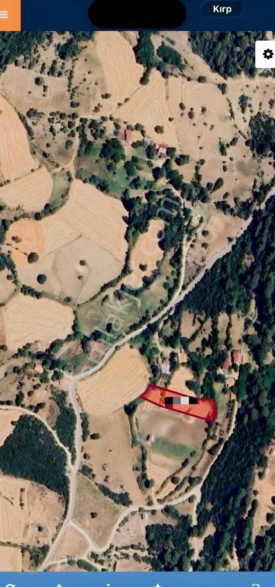 Seydikemer Yaka Tlos Antik Köyde Evler Yani 2448mt Mülk Satılık - Görsel 9