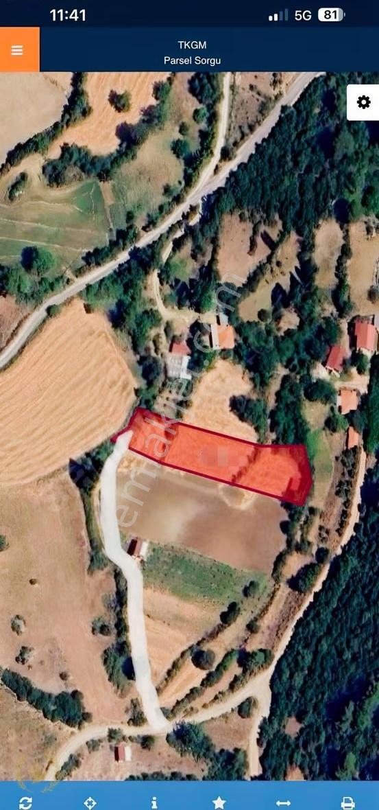 Seydikemer Yaka Tlos Antik Köyde Evler Yani 2448mt Mülk Satılık - Görsel 19