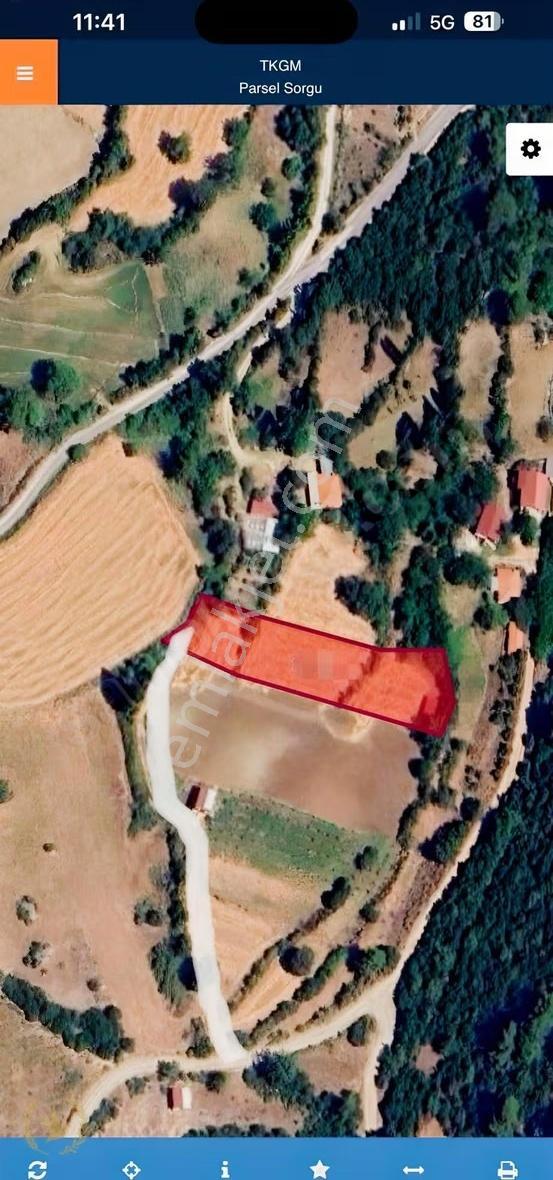 Seydikemer Yaka Tlos Antik Köyde Evler Yani 2448mt Mülk Satılık