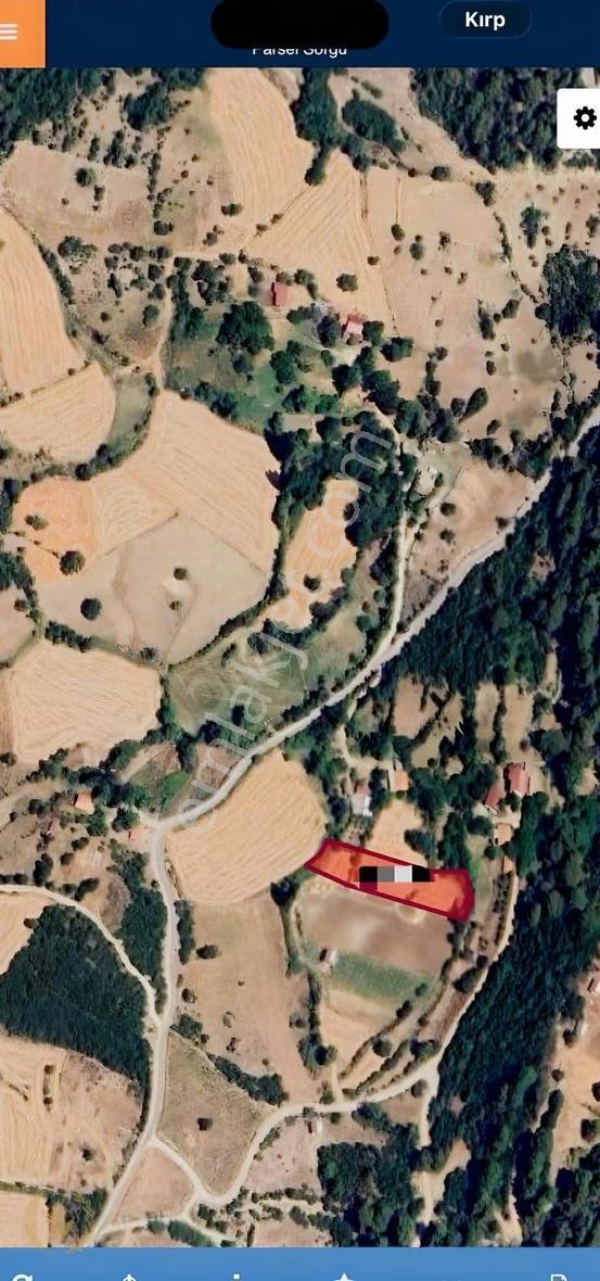 Seydikemer Yaka Tlos Antik Köyde Evler Yani 2448mt Mülk Satılık - Görsel 2