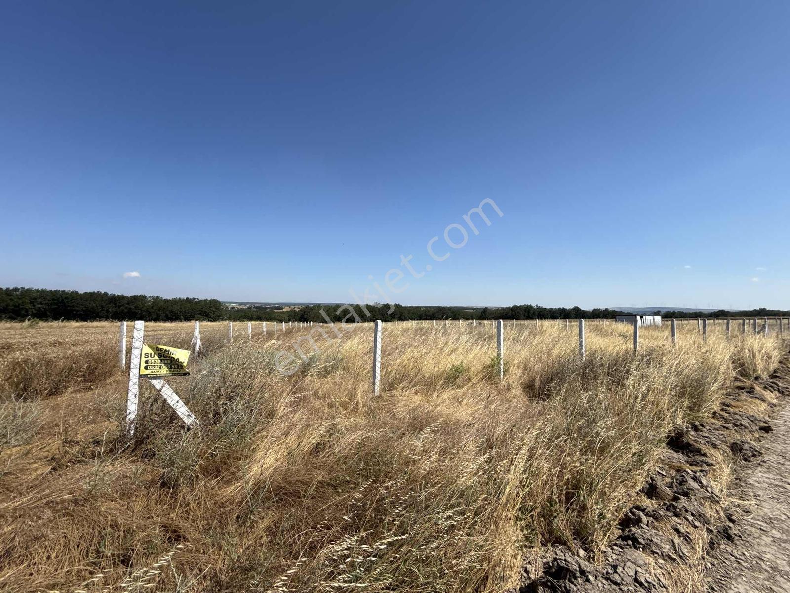 Gümüş Grouptan Büyükçavuşluda 1247 M2 Arsa - Görsel 4