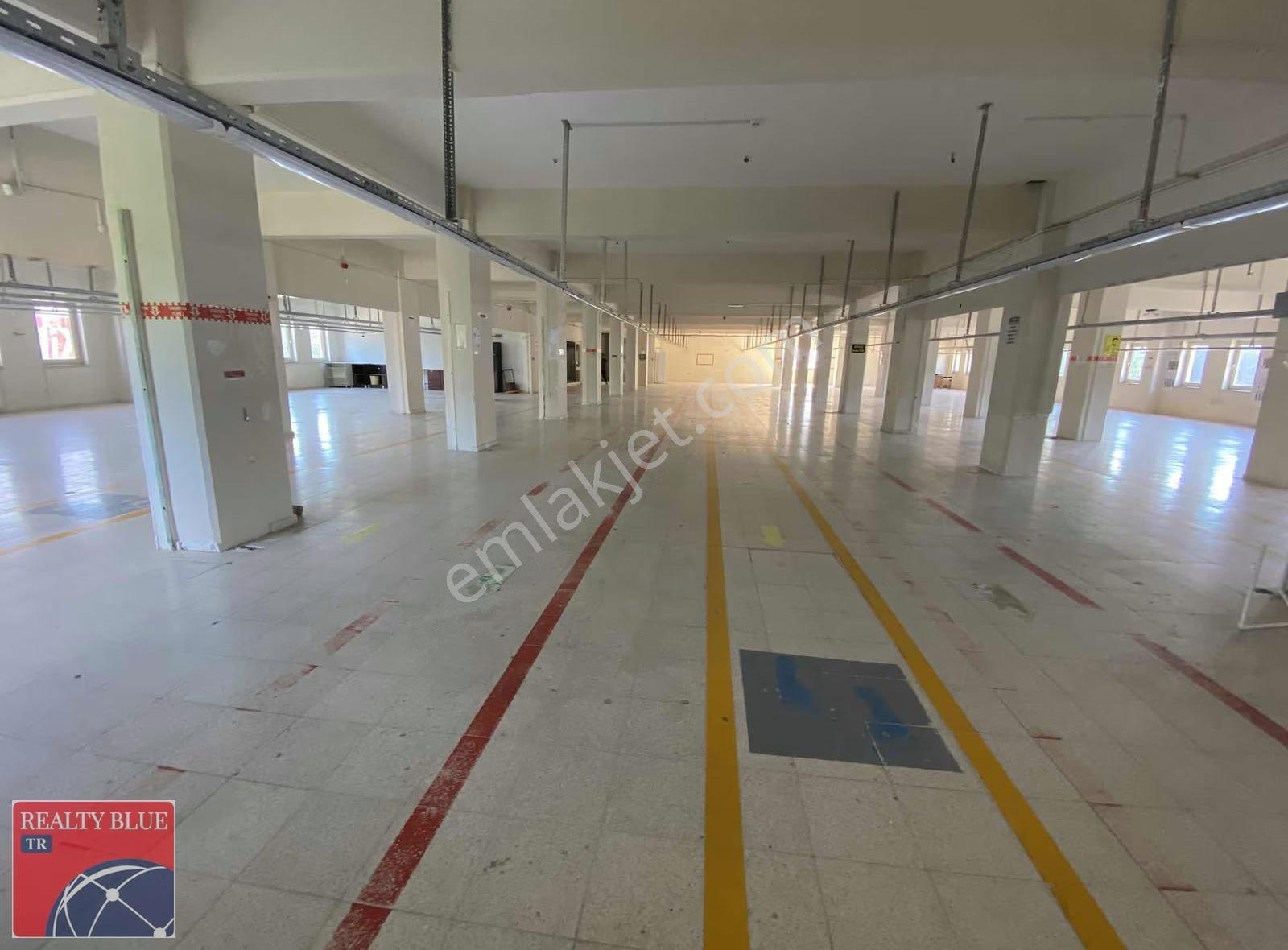 Gölcük'de Satılık 3.500 M² Dükkan & Mağaza - Görsel 12