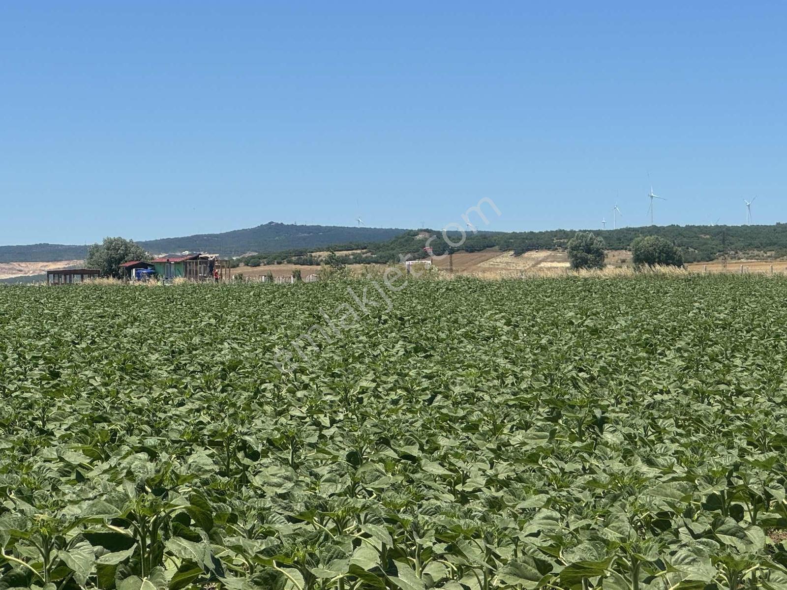 Evrenli De Sanayi Bölgesine Yakın 300 M2 Satılık Arsa - Görsel 13