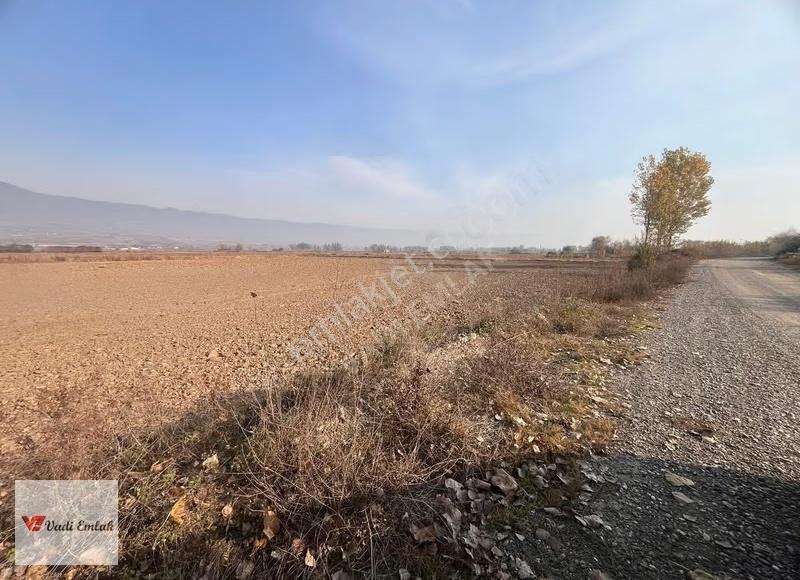 Tokat- Turhal Yoluna Yakın 5385 M² Satılık Tarla | Vadi Emlak - Görsel 7