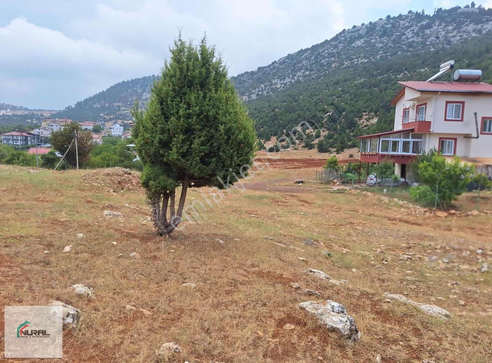 Gözne Ayvagedığı Sınırında 400 Metrekare Projesı Hazır Arsa - Görsel 5