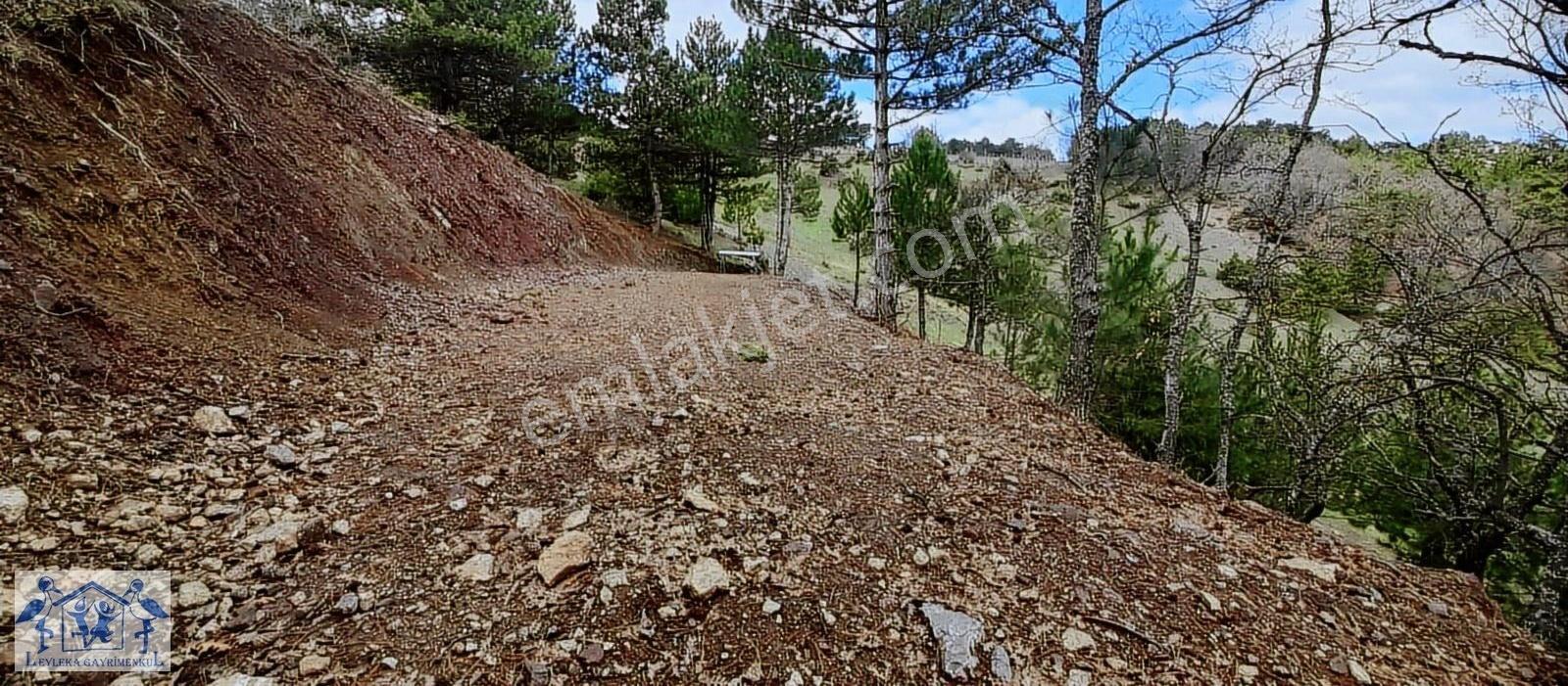 Pamukova Çilekli'de Resmi Yol Su 1050m2 Manzaralı Tarla