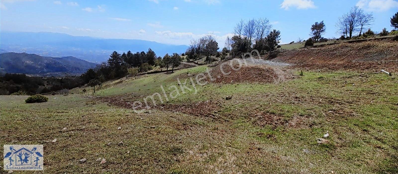 Pamukova Çilekli Resmi Yol Su 2317 M2 Panoramik Manzaralı Tarla - Görsel 11
