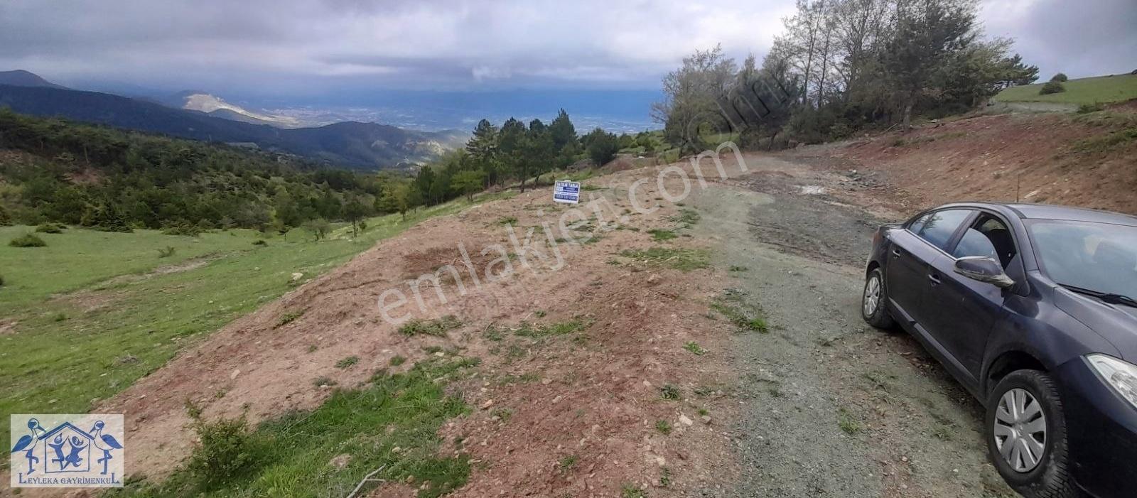Pamukova Çilekli Resmi Yol Su 2317 M2 Panoramik Manzaralı Tarla - Görsel 17