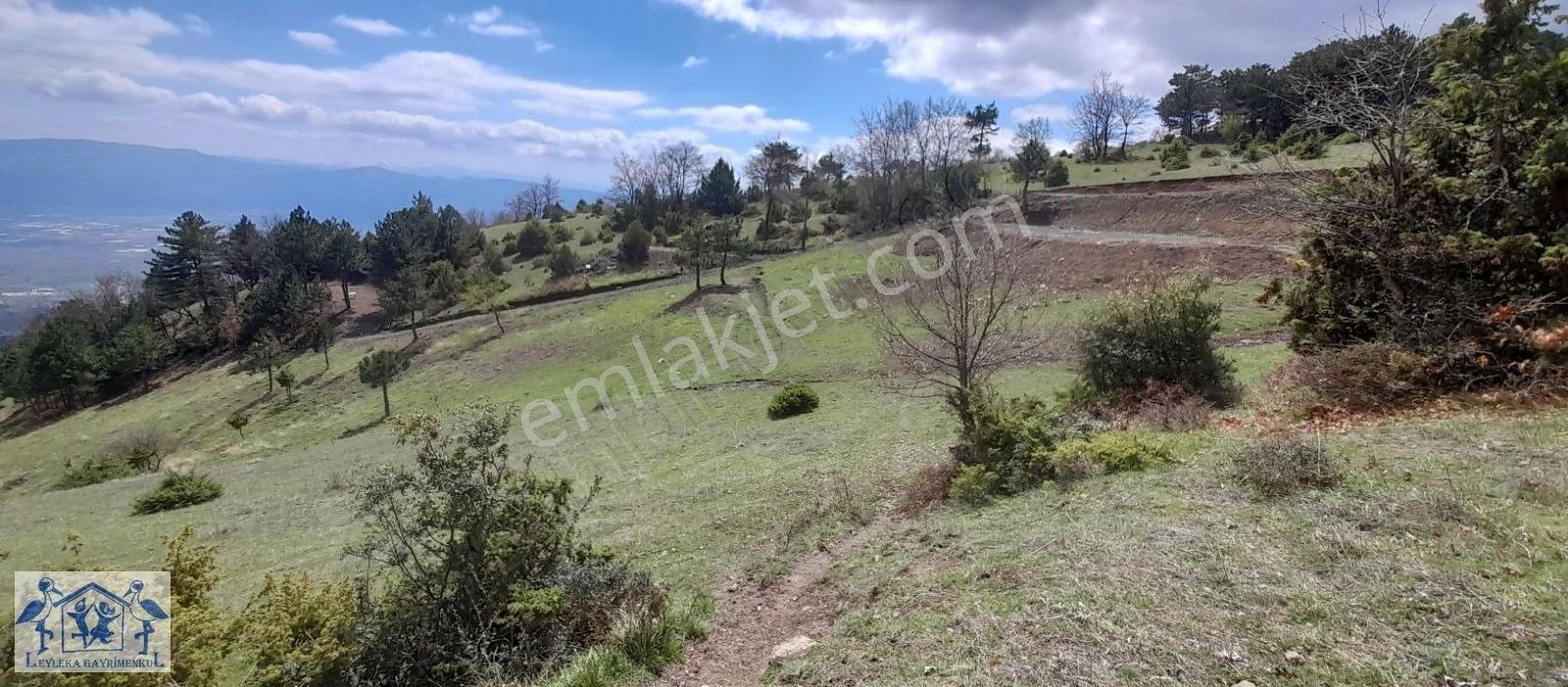 Pamukova Çilekli Resmi Yol Su 2317 M2 Panoramik Manzaralı Tarla - Görsel 8